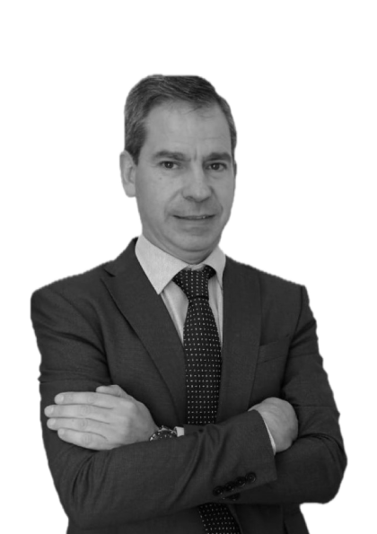 Ángel María Vergara